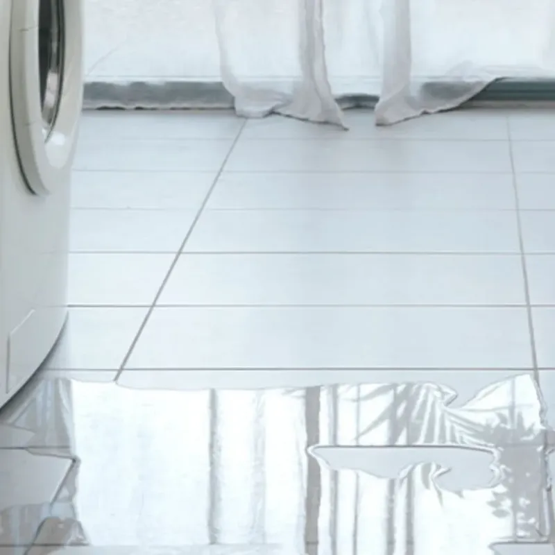 Appliance Leak Cleanup in Denton, TX