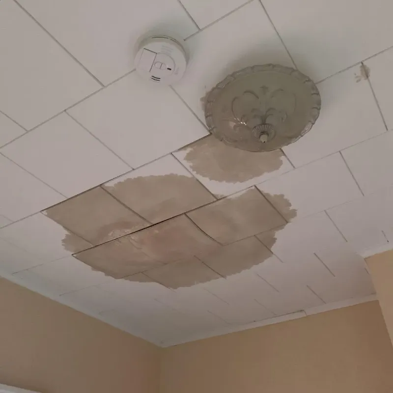 Ceiling Water Damage Repair in Denton, TX