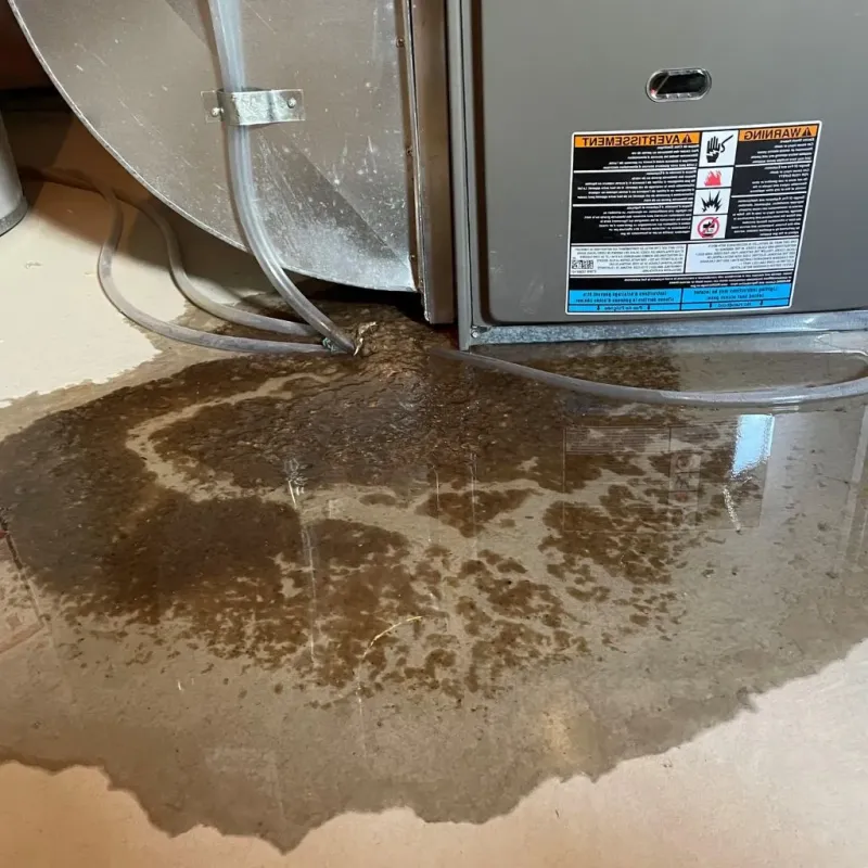 Pipe Burst and Leak Restoration in Denton, TX