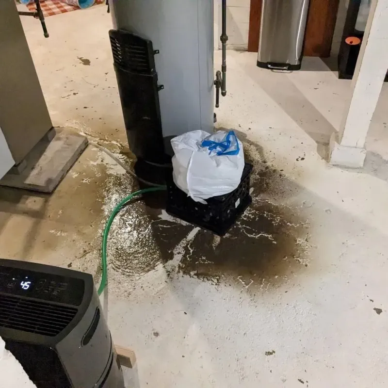 Sewage Backup Cleanup Service in Denton, TX